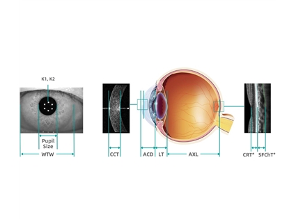 Complete optical biometry