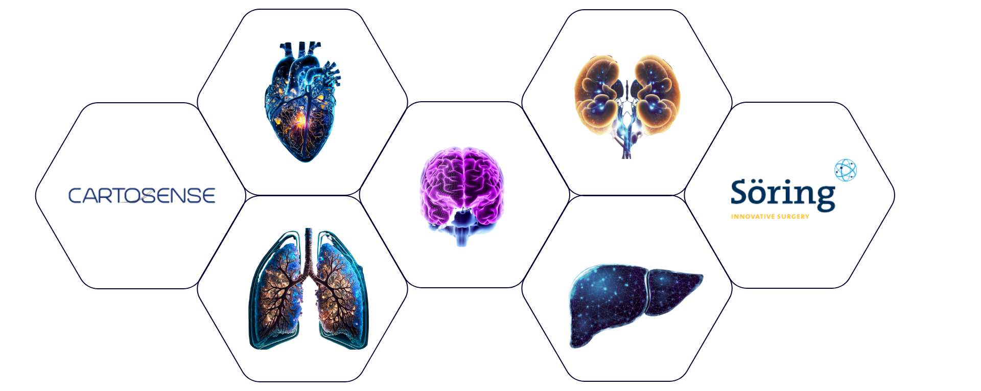 Multi-Specialty