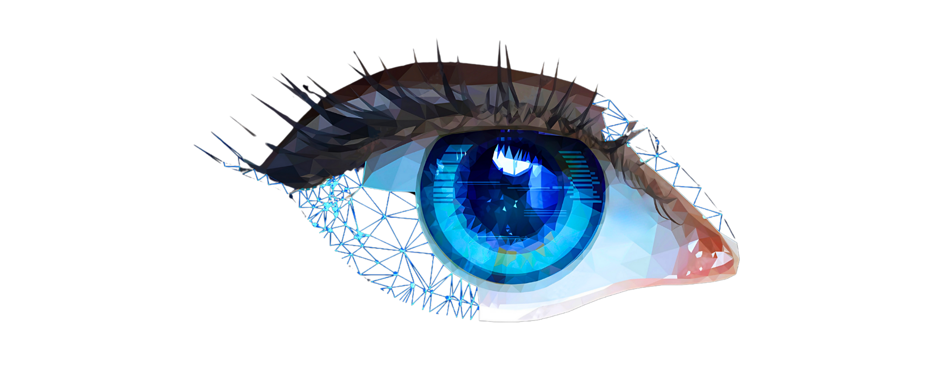 Ophthalmology